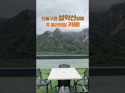 영국 분위기 호텔 속초 여행 켄싱턴호텔 설악 애비로드 애프터눈티 조식