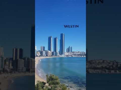 부산 1등 호텔 예전 같지 않네요(positive) | 웨스틴 조선 부산