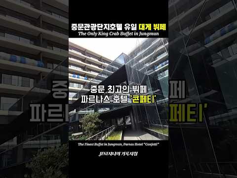 제주 파르나스 호텔에서 완벽한 2박 3일 호캉스를 즐기는 법 (인피티니 풀, 산책 코스, 콘페티 뷔페 디너 리뷰)